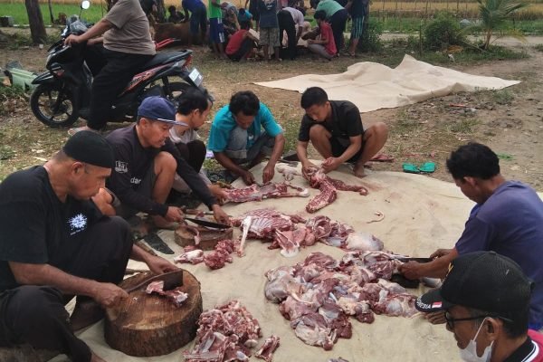Luar Biasa, Kesadaran Warga Manding Untuk Berkurban Cukup Tinggi Tahun Ini
