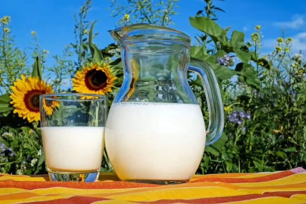 Tak Hanya di Malam 1 Muharam, Berikut Waktu Terbaik Minum Susu Agar Terasa Manfaatnya