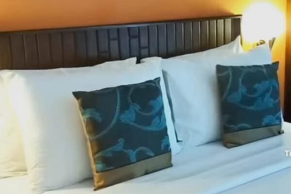 Rekomendasi Tempat Menginap Ketika Berkunjung ke Ponorogo