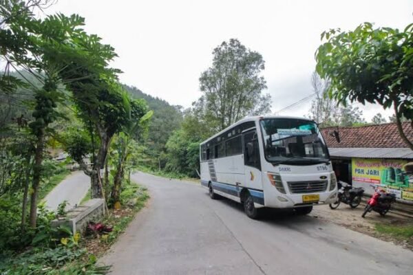 Membelah Kaki Gunung Wilis, Rute DAMRI Ponorogo-Tulungagung Suguhkan Pemandangan Indah dan Tarif Murah