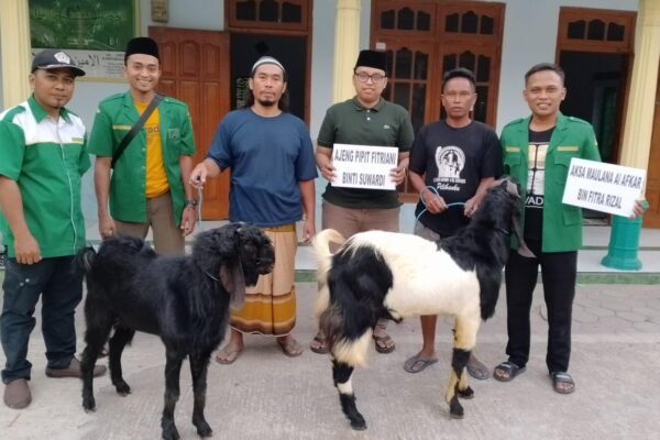 Momentum Idul Adha 1445 H, GP Ansor Jenangan Salurkan Hewan Qurban ke Masyarakat
