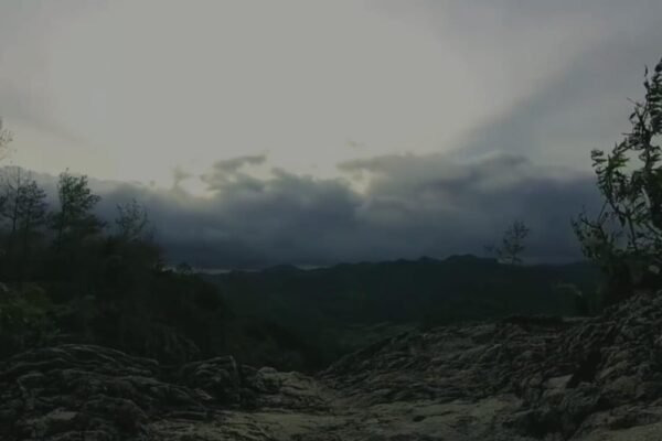 Puncak Pringgitan, Pendaki Pemula Wajib Coba