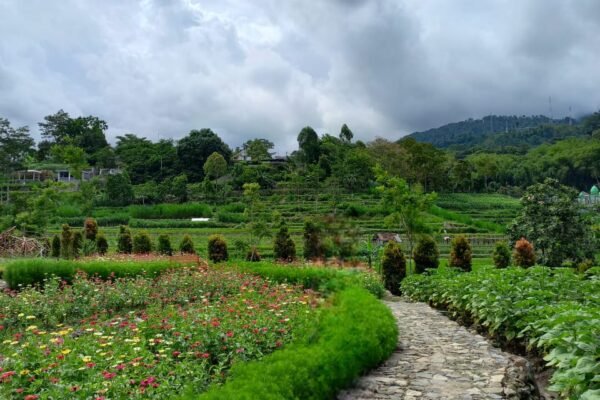 Berlibur Sambil Ditemani Bunga Cantik di Kebun Refugia Magetan