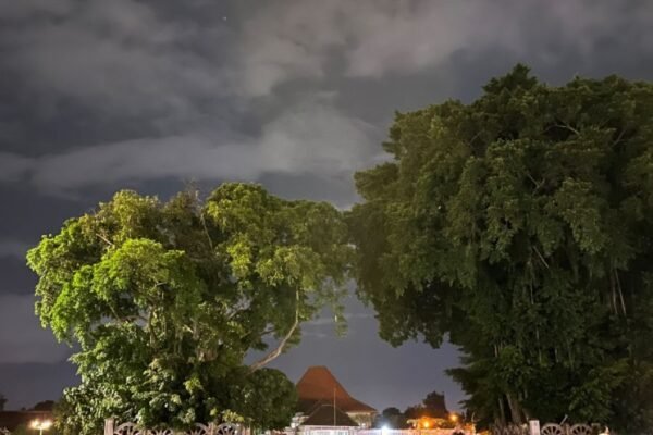 Ramainya Pengunjung Alun-Alun Kidul Yogyakarta hingga Berbagai Aktivitas yang Bisa Dilakukan