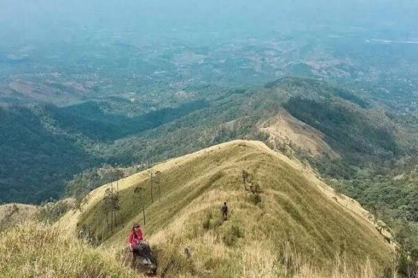 Gunung Wilis: Surga Pendaki yang Menantang
