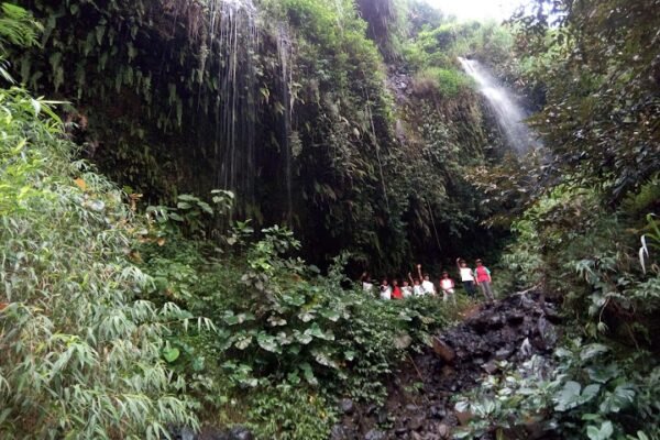Tersembunyi di Ponorogo, Air Terjun Jurang Gandul Sajikan Pesona Alam yang Memukau