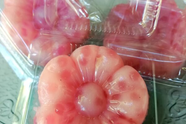 Kecantikan dan Kelezatan Berpadu pada Jajanan Kue Talam Sagu Mutiara
