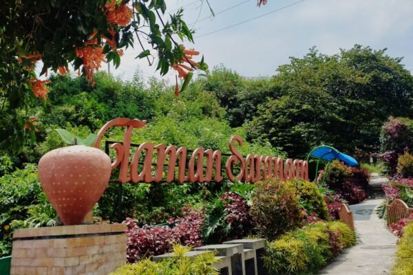 Singgah di Taman Sarangan dan Menikmati Semangkuk Pentol Kuah