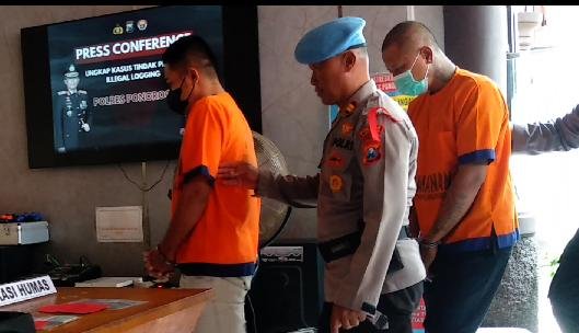 Seorang Pemuda di Ponorogo Ditangkap Polisi Gara-gara Curi Kayu Perhutani