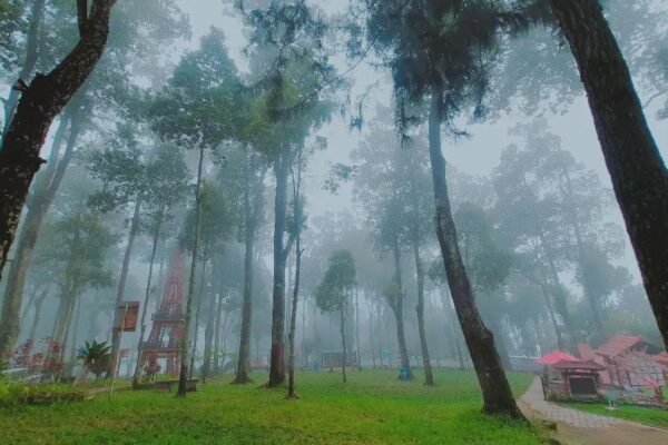 Keseruan Menikmati Berbagai Spot Menarik di Wisata Genilangit Magetan