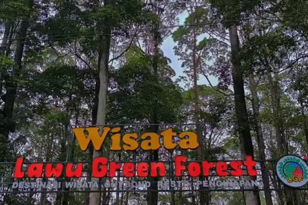 Lawu Green Forest Magetan, Wisata Alam Lengkap dengan Berbagai Wahana
