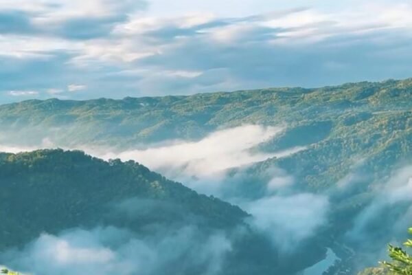 Keindahan Sunrise di Kabun Buah Mangunan Bantul, Bak Negeri di Atas Awan