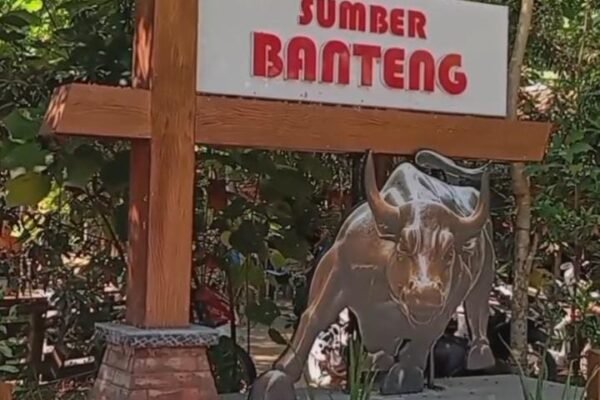 Pesona Alami Sumber Banteng: Destinasi Asri di Kediri