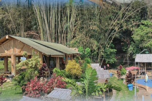 Satu Lagi Wisata Alam Favorit di Mojokerto: Liburan Santai di Petung Park