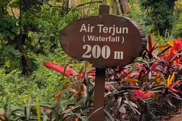 Putuk Truno: Air Terjun yang Menyimpan Cerita Cinta dan Keindahan
