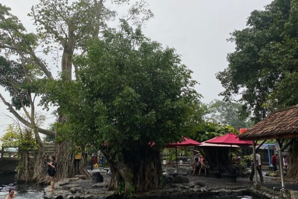 Kesegaran Tak Tertandingi di Umbul Sigedang -Kapilaler, Surga Tersembunyi Klaten