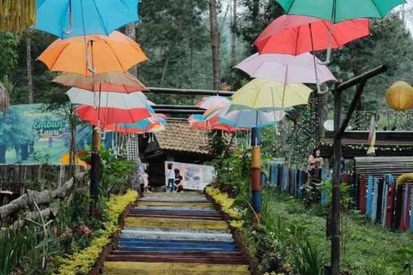 Embun Lawu Tawangmangu: Destinasi Liburan Alam Menarik dan Instagramable