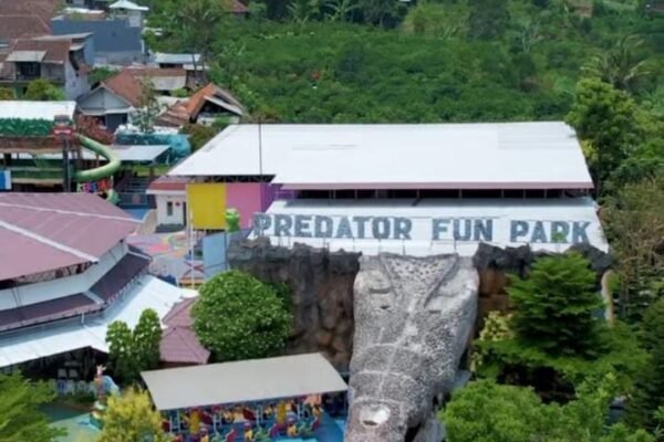 Menjelajah Dunia Predator: Serunya Liburan di Predator Fun Park Kota Batu