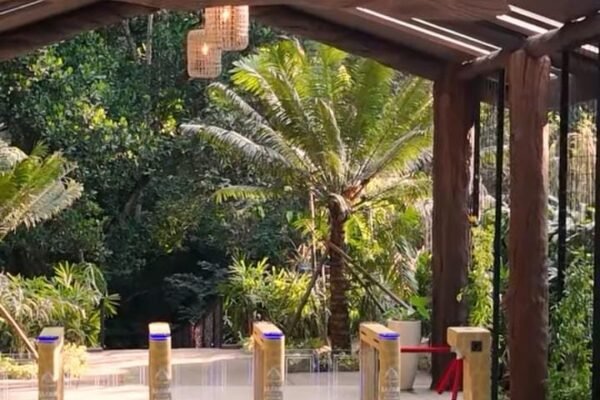 Enchanting Forest Pasuruan, Hutan Estetik di Jawa Timur yang Menghipnotis dengan Keindahannya