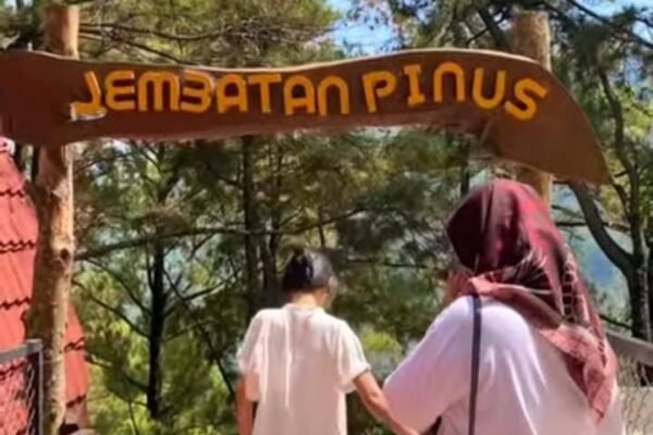Menjelajahi Pijar Park Kudus: Harmoni Alam, Keindahan, dan Ketenangan
