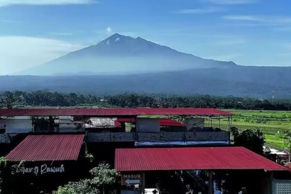 Dolan Sawah Salatiga: Destinasi Lengkap untuk Aktivtas Seru di Tengah Sawah