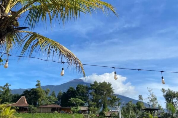 Alaspitu Banyumas: Wisata Alam Hits yang Punya Segalanya, dari Taman Cantik hingga Curug Eksotis