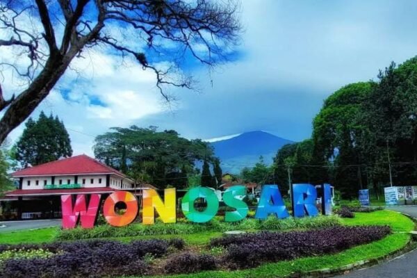 Jejak Aroma Teh dan Hembusan Angin Gunung di Wisata Agro Wonosari Malang