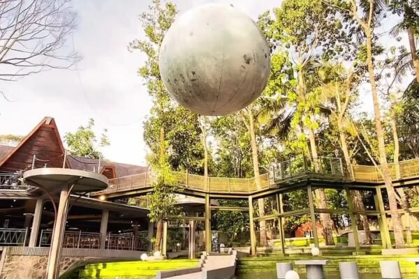 Asrinya HeHa Forest Jogja, Wisata Hutan Kekinian yang Menyegarkan Mata