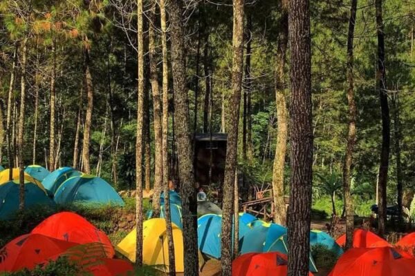 Buper Pleseran dan Telaga Asmara, Duo Wisata Romantis Nan Asri di Karanganyar