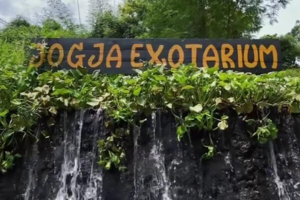 Jogja Exotarium, Saat Liburan Menjadi Petualangan Mini di Dunia Satwa