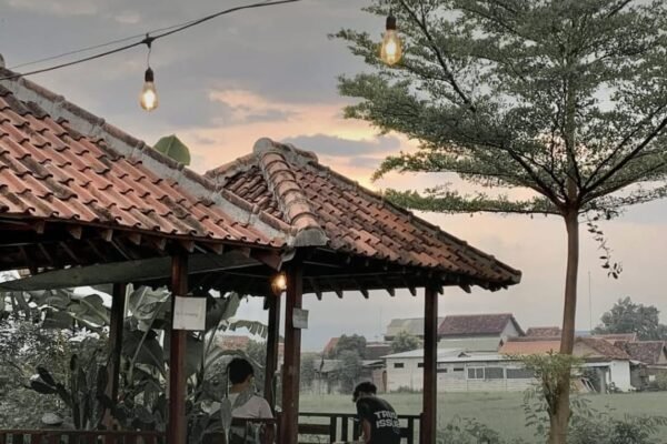 Kopi, Sawah, dan Suasana Tenang: Kombo Sempurna di Piyambakan Coffee & Space