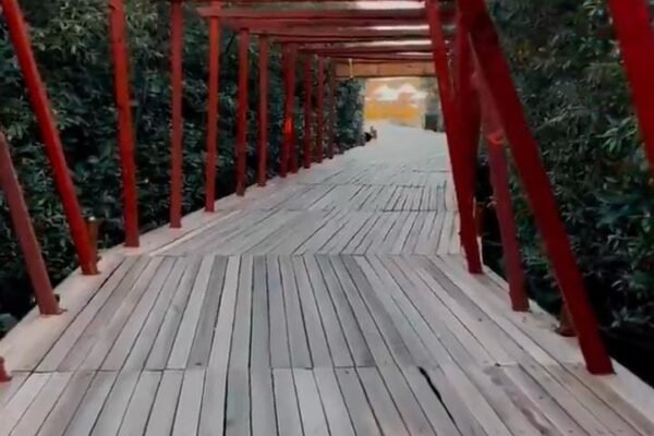 Menyusuri Pesona Bakau dan Keindahan Bahari di Bee Jay Bakau Resort Probolinggo