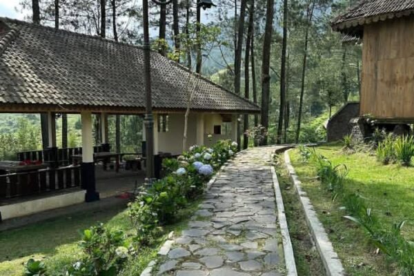 Di Antara Kabut dan Pinus: Menyepi Sejenak di Vanaprastha Gedongsongo
