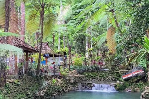 Menari di Beningnya Alam: Menyusuri Kesegaran Sungai Mudal