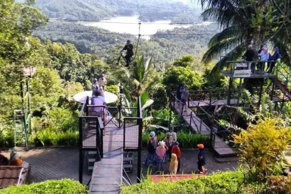 Pule Payung, Destinasi Bukit Penuh Kreativitas di Kulon Progo yang Sajikan Keindahan dari Ketinggian