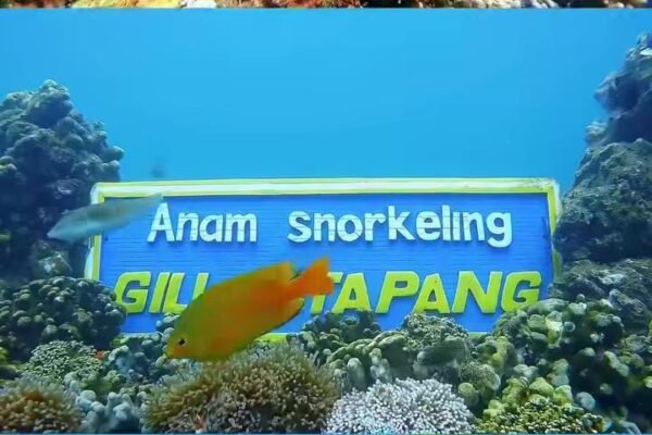 Gili Ketapang, Surga Tersembunyi di Selat Madura yang Mengajakmu Menyatu dengan Alam dan Kearifan Lokal