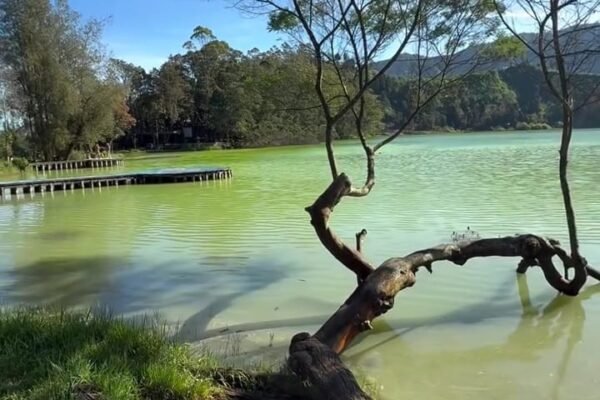 Dieng dan Cermin Ajaibnya: Menguak Daya Tarik Telaga Warna