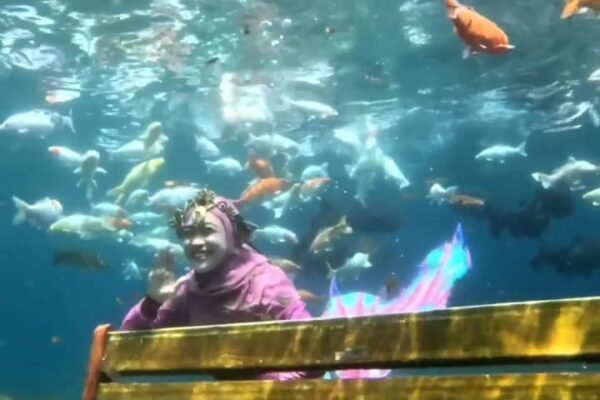 Sensasi Menyelam di Kolam Air Tawar: Eksplorasi Seru di Umbul Ponggok Klaten