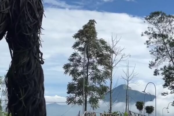 Merbabu Park: Wisata Alam dan Rekreasi Seru di Kaki Gunung Merbabu