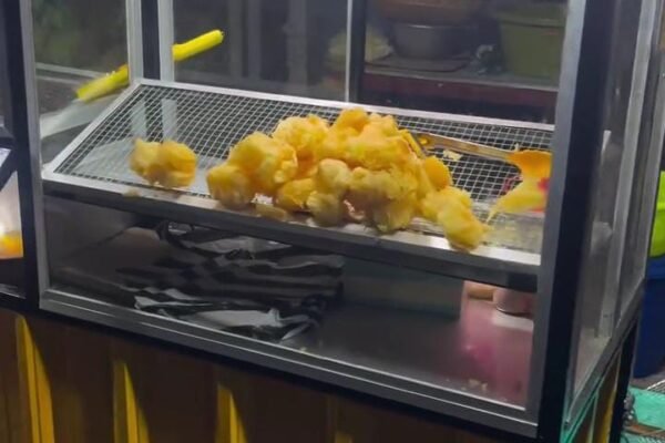 Anak Singkong Ponorogo, Kudapan Sederhana yang Naik Kelas dengan Sensasi Crispy-Gurih