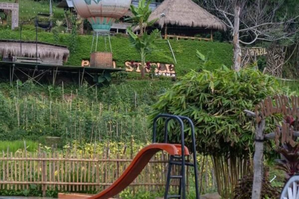 Bukan Sekadar Tempat Makan, Resto Sawah Jadi Wisata Keluarga Favorit di Karanganyar
