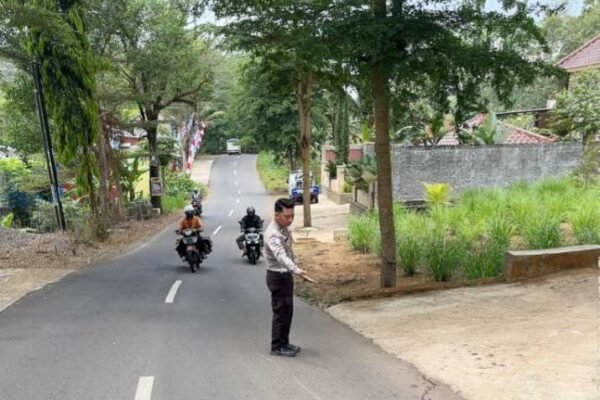 Kecelakaan Beruntun di Ngrambe Ngawi, Libatkan Dua Motor dan Pikap, Sopir Melarikan Diri