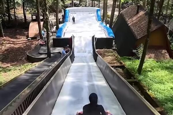 Kopeng Treetop Adventure Park: Sensasi Wisata Alam, Petualangan, dan Kuliner di Lereng Merbabu