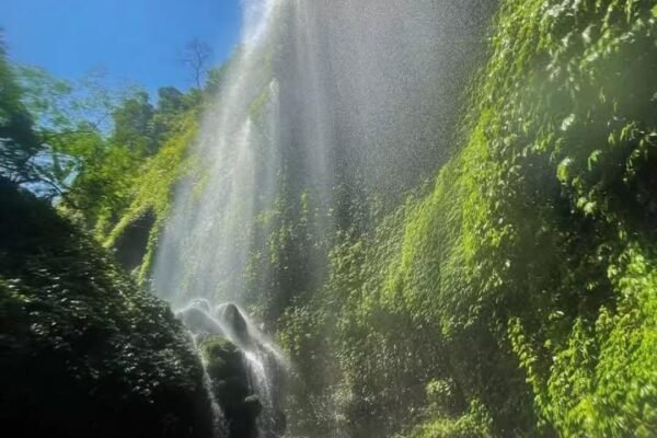 Madakaripura, Surga Tersembunyi di Kaki Bromo: Pesona Air Terjun Abadi yang Tak Pernah Kering